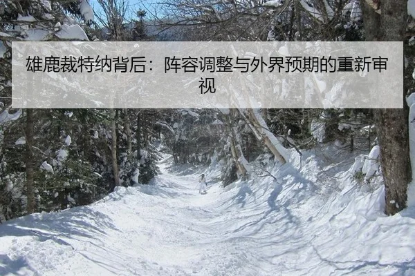 xiong-lu-cai-te-na-bei-hou-zhen-rong-tiao-zheng-yu-wai-jie-yu-qi-de-chong-xin-shen-shi-2-902.jpg